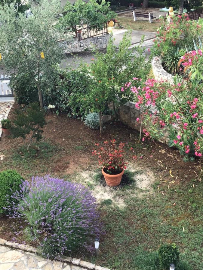 Apartmani Misic Ždrelac Exteriér fotografie