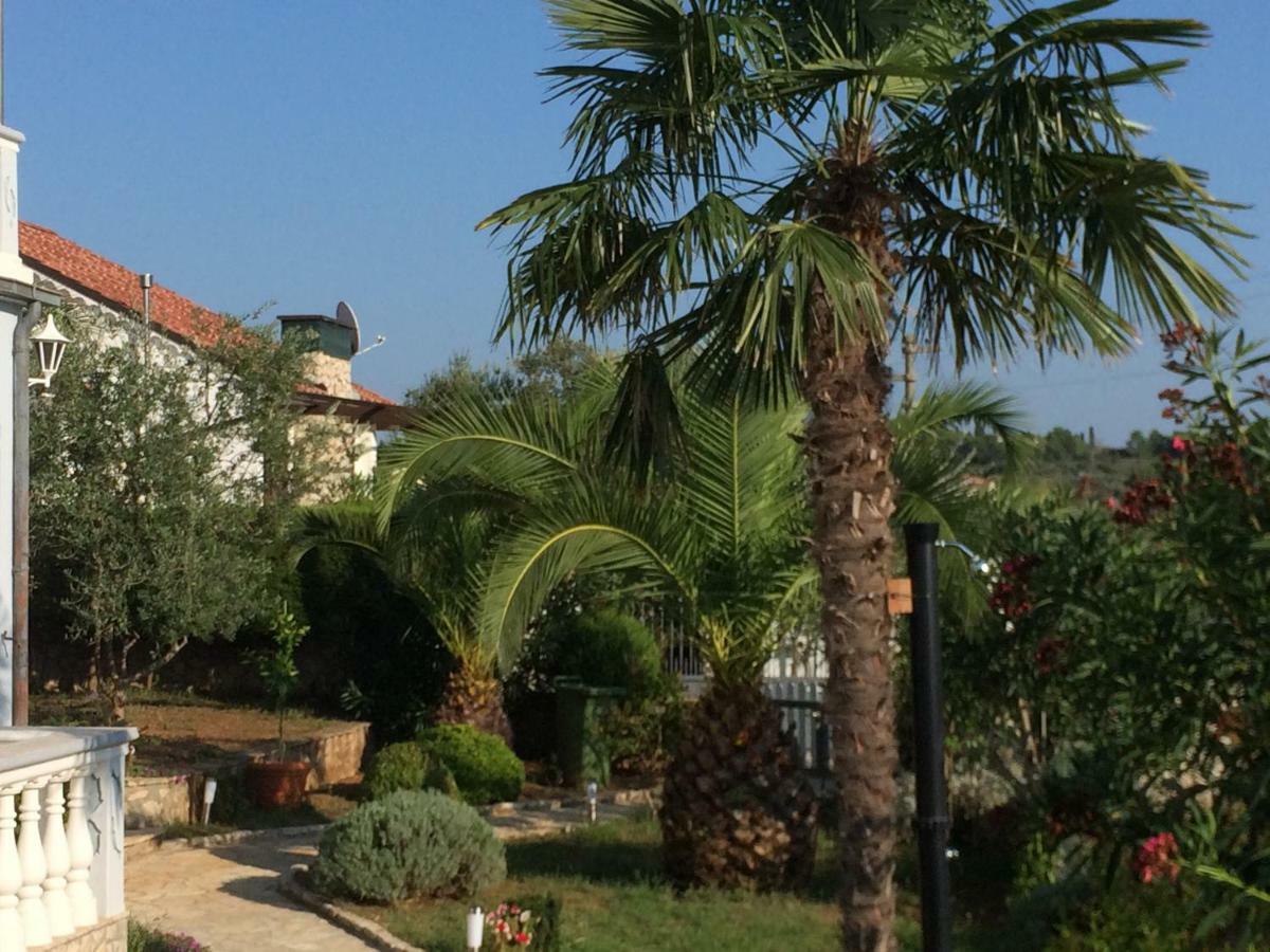 Apartmani Misic Ždrelac Exteriér fotografie